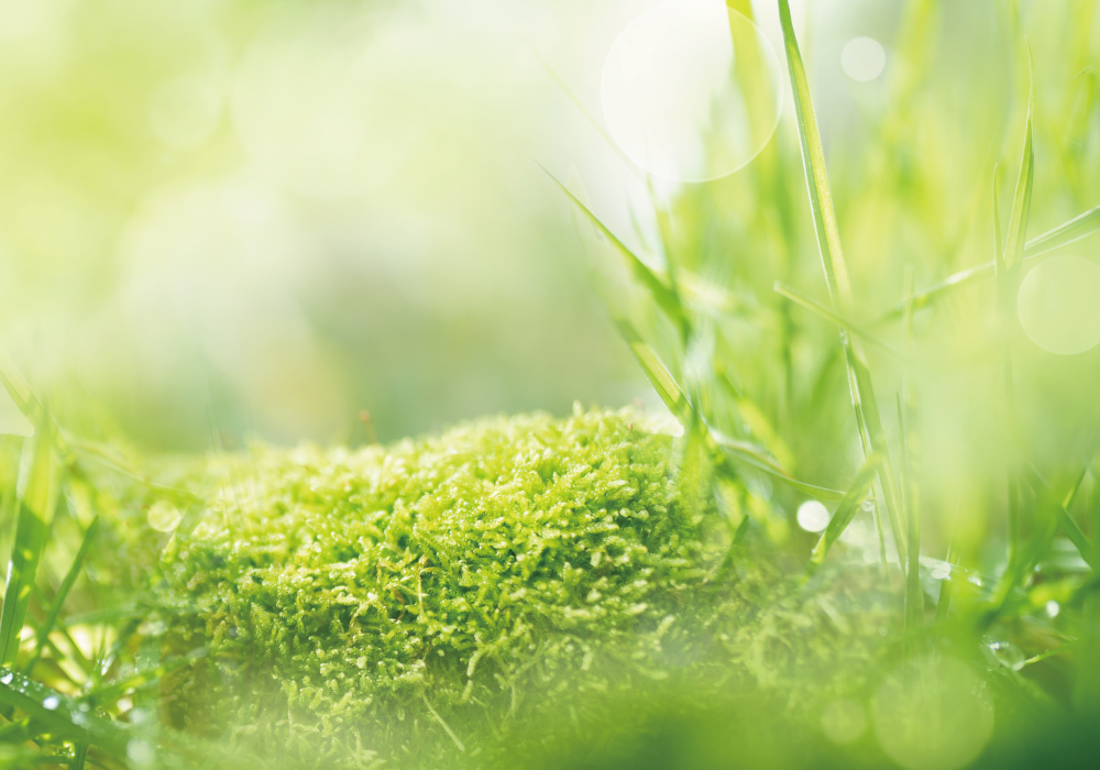 SDGsへの取り組みイメージ